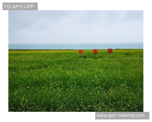 萨林杰的文学魅力与人生哲学探讨：从孤独到自我救赎的心灵之旅